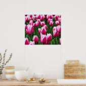 Poster met roze tulpen (Keuken)
