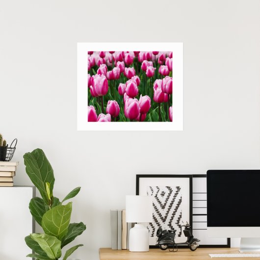 Poster met roze tulpen (Thuiskantoor)