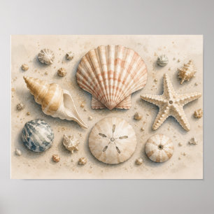 Poster met schelpencollectie Waterverf kust