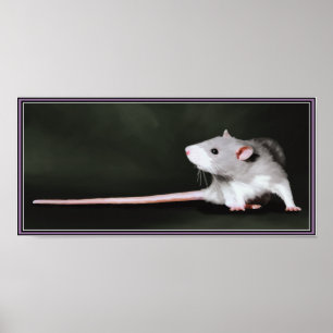 Poster met schilderij van knappe rat