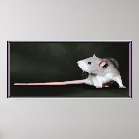 Poster met schilderij van knappe rat (Voorkant)