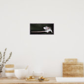 Poster met schilderij van knappe rat (Keuken)