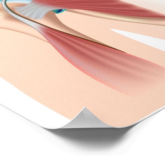 Poster met schouderbotsing van sportblaadjes (Hoek)