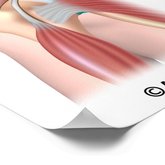 Poster met schouderbotsing van sportblaadjes (Hoek)