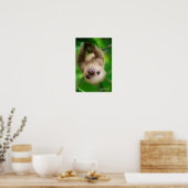 Poster met sleuf (Keuken)