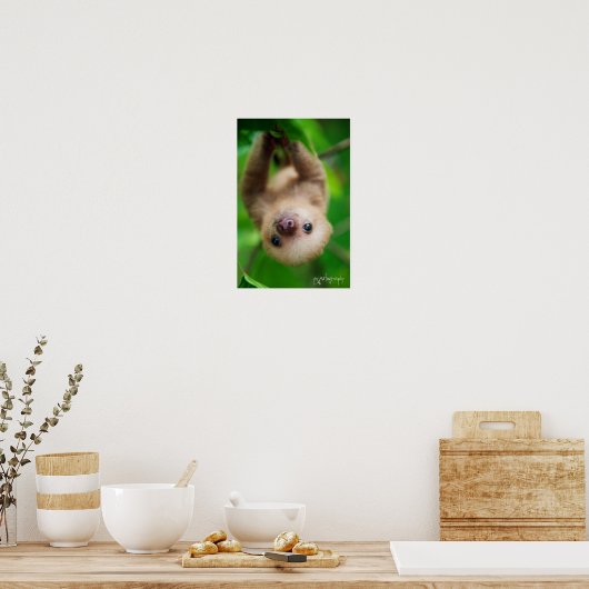 Poster met sleuf (Keuken)