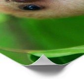 Poster met sleuf (Hoek)