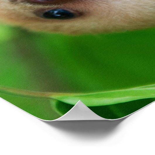 Poster met sleuf (Hoek)