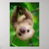 Poster met sleuf (Voorkant)