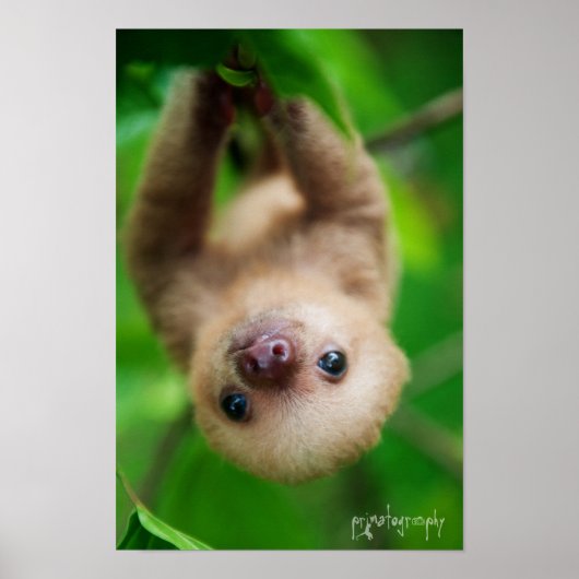 Poster met sleuf (Voorkant)