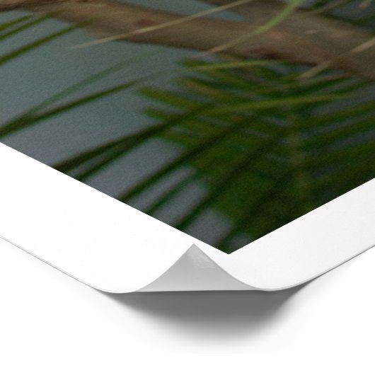 Poster met sleuf (Hoek)