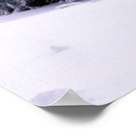 Poster met sneeuwbedekking (Hoek)