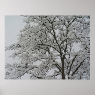 Poster met sneeuwbedekking eiken