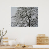 Poster met sneeuwbedekking eiken (Keuken)