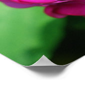 Poster met snoepgoed (Hoek)