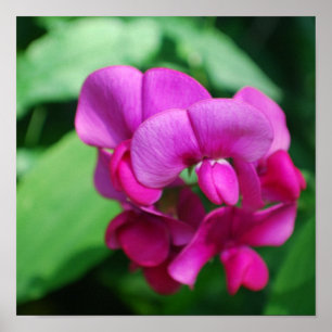 Poster met snoepgoed