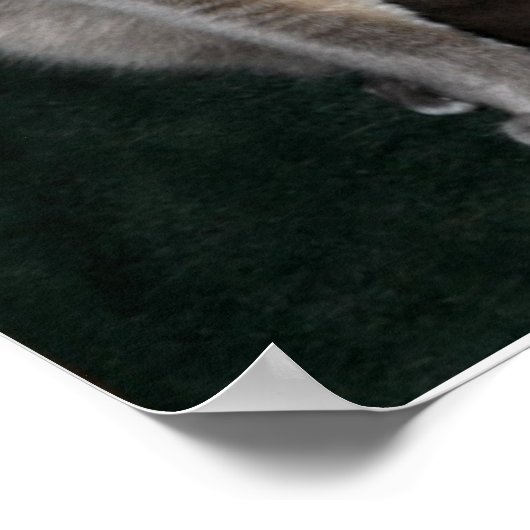 Poster met snoepgoed (Hoek)