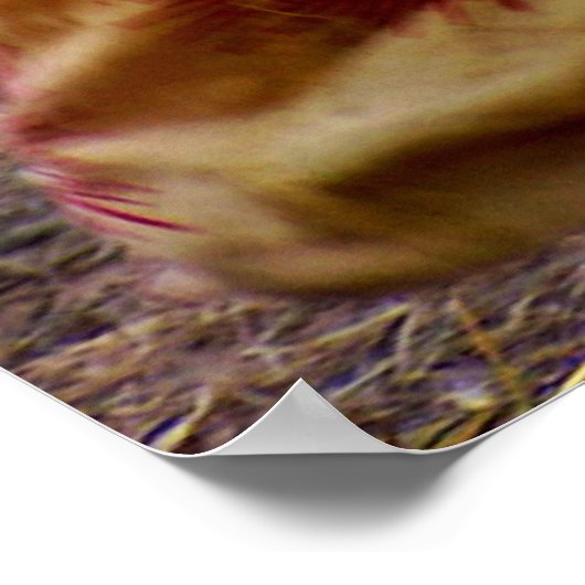 poster met spirituele stijl (Hoek)