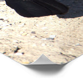 Poster met staarten (Hoek)