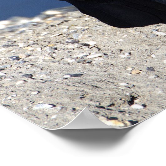 Poster met staarten (Hoek)