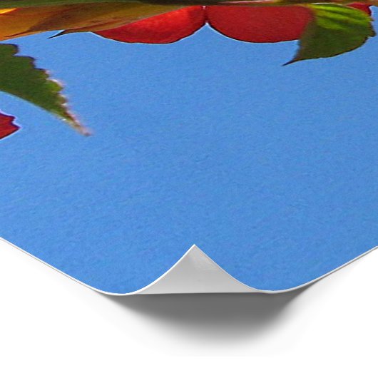 Poster met Trumpet Vine Flowers (Hoek)