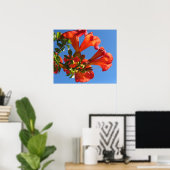 Poster met Trumpet Vine Flowers (Thuiskantoor)