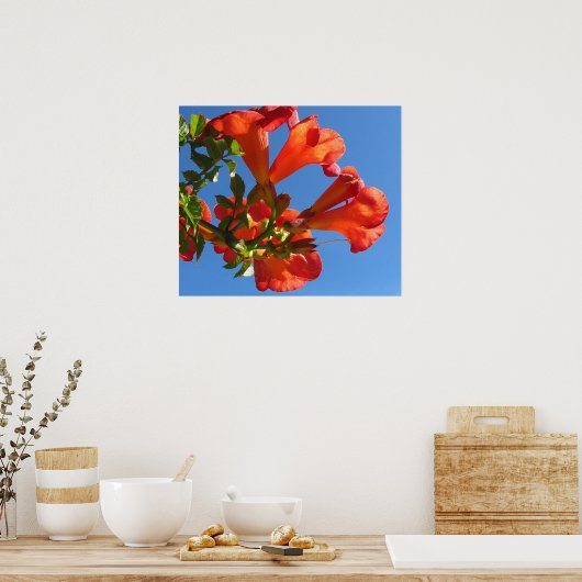 Poster met Trumpet Vine Flowers (Keuken)