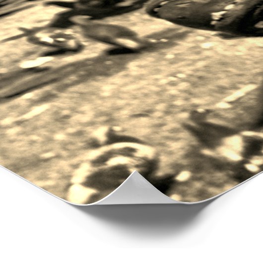 Poster met twee paarden (Hoek)