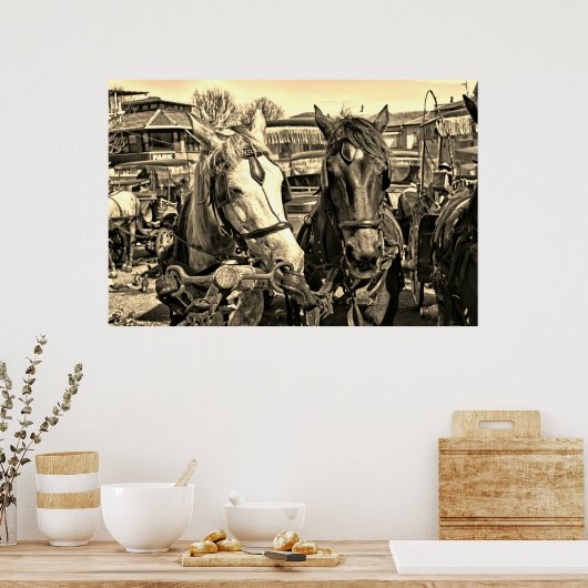 Poster met twee paarden (Keuken)