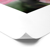 Poster met twee roze rozen (Hoek)