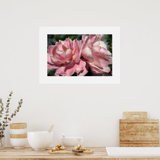 Poster met twee roze rozen (Keuken)