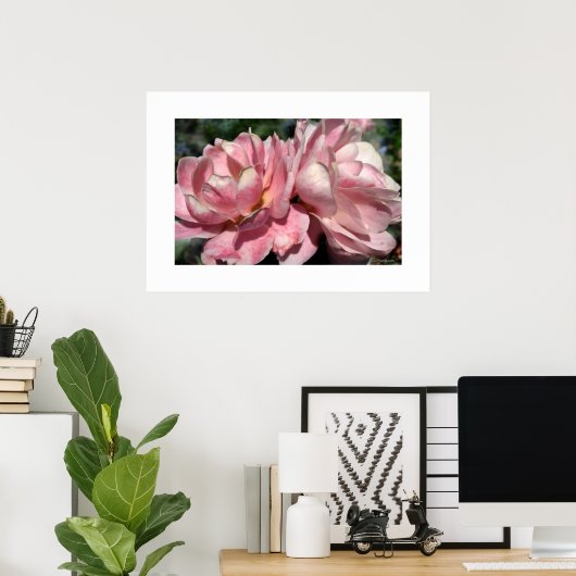 Poster met twee roze rozen (Thuiskantoor)