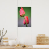 Poster met twee roze tulpen (Keuken)