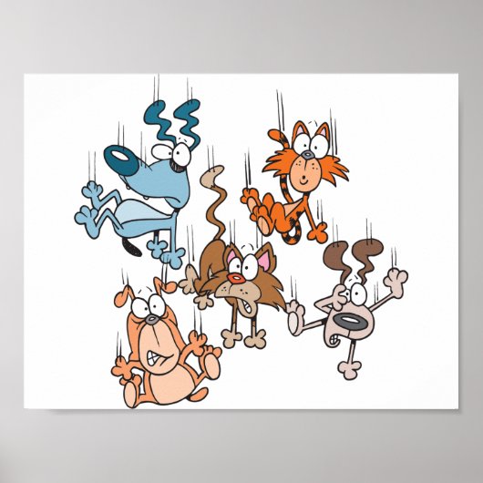 Poster met vallende katten en honden (Voorkant)