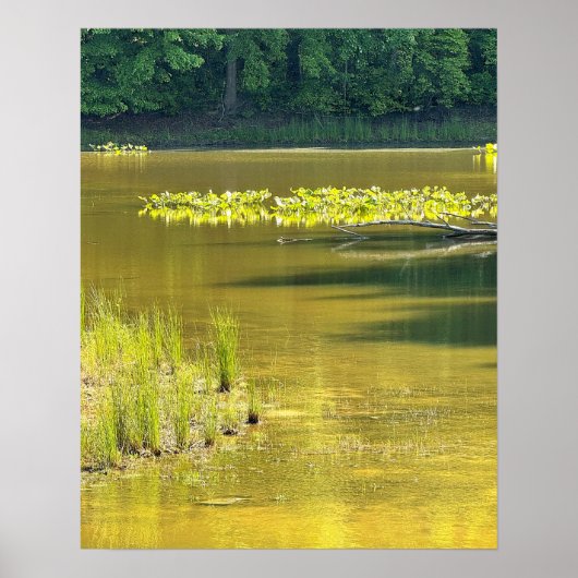 Poster met vijverwatervijllandschap foto (Voorkant)