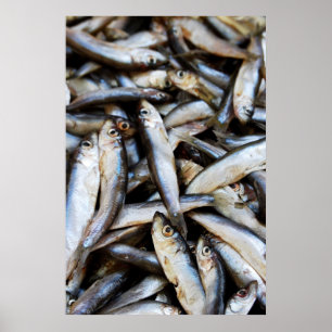Poster met vissen close-up