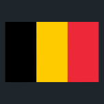 Poster met vlag van België<br><div class="desc">Voeg een vleugje Belgian Pride toe aan uw ruimte met ons exclusieve poster met de vlag van België! Dit poster is met veel aandacht voor detail gemaakt en is meer dan alleen een decoratief item; het is een eerbetoon aan het rijke erfgoed en de culturele trots van België. Het elegante...</div>