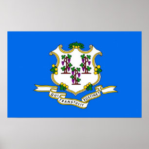 Poster met vlag van Connecticut, U.S.A.