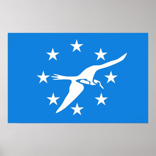 Poster met Vlag van Corpus Christi, Verenigde Stat (Voorkant)