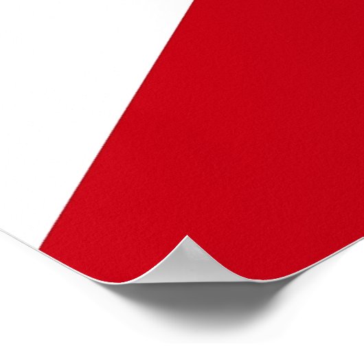 Poster met vlag van Florida, VS (Hoek)