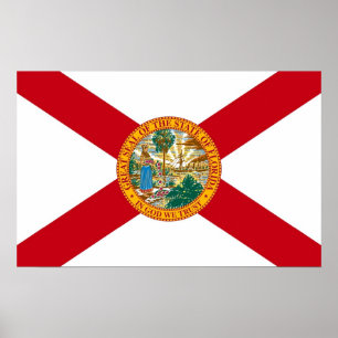 Poster met vlag van Florida, VS