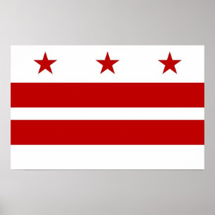 Poster met vlag van Washington DC, VS