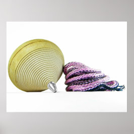 Poster met vleugelspinnen