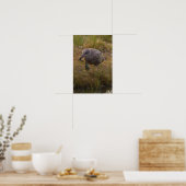 Poster met vogel die krab vangt (Keuken)