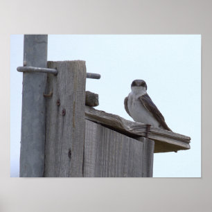 Poster met vogel op vogelhuisje
