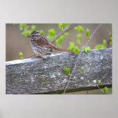 Poster met vogelbaars (Voorkant)