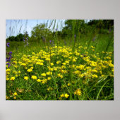 Poster met vogelvoet Trefoil (Voorkant)