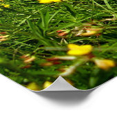 Poster met vogelvoet Trefoil (Hoek)