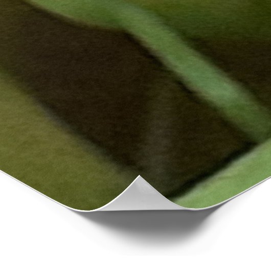 Poster met warme gele tulp (Hoek)