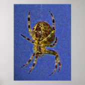 Poster met Wielspin (Voorkant)